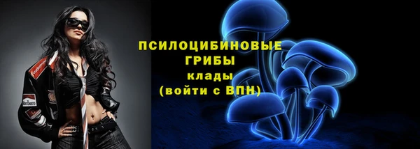дживик Армянск