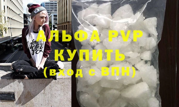 СК Алексин