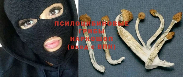 ECSTASY Балабаново